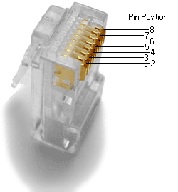 Prise mâle RJ45 utilisée dans le câblage réseau et téléphonique